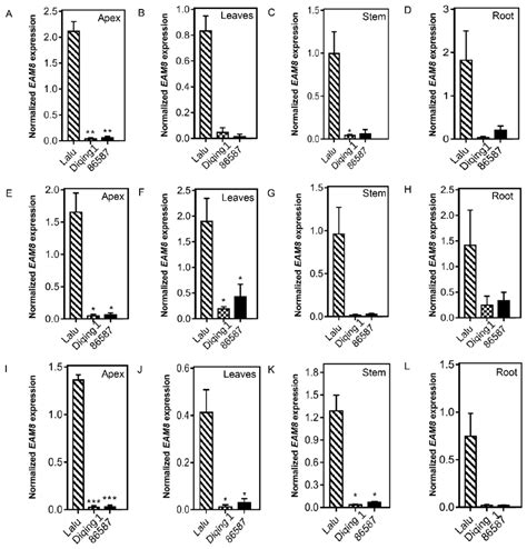 Agronomy Free Full Text Mechanism Of Early Flowering In A Landrace