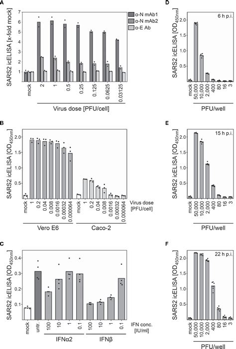 Frontiers A Novel In Cell Elisa Assay Allows Rapid And Automated