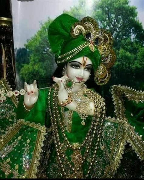 Jai Shree Radhakrishna 🌸🌷🏵🌼💮🙏 Radharani Radheradhe