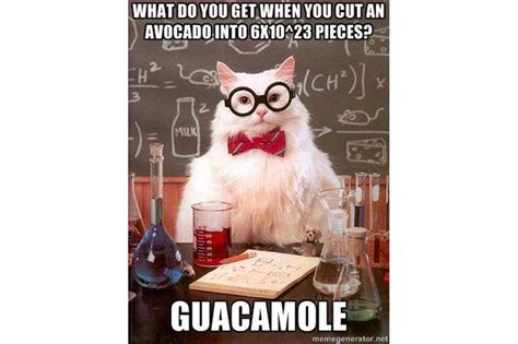 Funny Mole Day Jokes And Humor