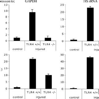 Tgf And Mmp Are Induced In A Tlr Dependent Manner Following