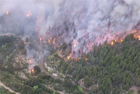 Aseguran Que Est Contenido El Incendio En Parque Nacional Los Alerces