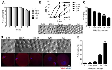 Pharmaceuticals Free Full Text Discovery And Characterization Of A