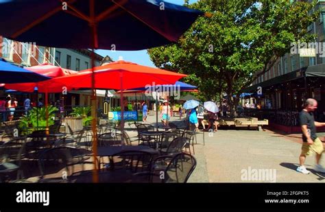 Savannah mall Stock Videos & Footage - HD and 4K Video Clips - Alamy