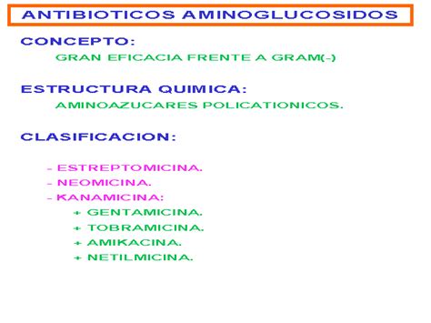 ANTIBIOTICOS AMINOGLUCOSIDOS