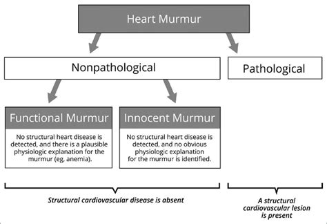 Nomenclature Of Pathological And Nonpathological Heart Murmurs