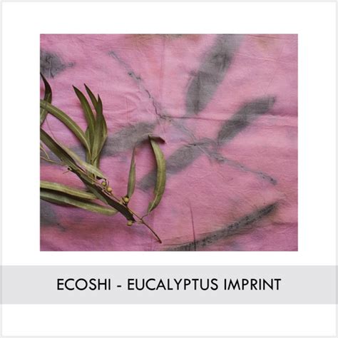 Ecoshi: Blending Sustainable Fashion with Eco-Conscious Stationery – REFASH