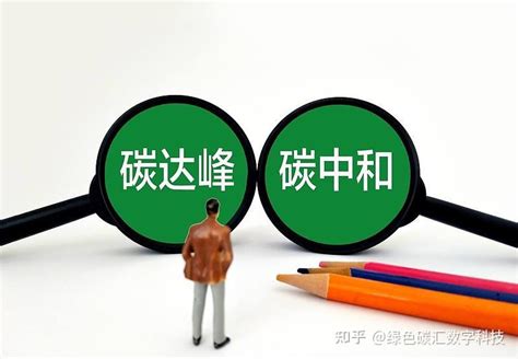 一文读懂碳市场与碳配额 知乎