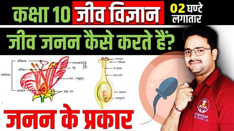 जीव जनन कैसे करते हैं जनन के प्रकार लैंगिक व अलैंगिक जनन How Do