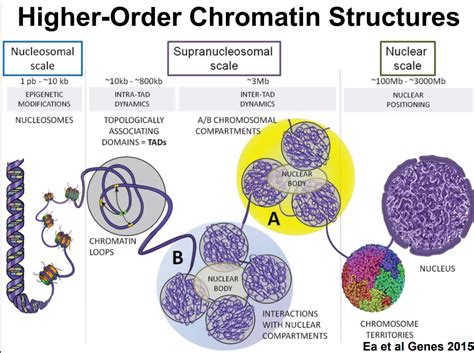 11 Genome Assembly 2 BCH709 Introduction To Bioinformatics