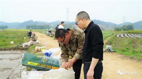 橫州市：行走在田間地頭的農科技術員很忙 壹讀