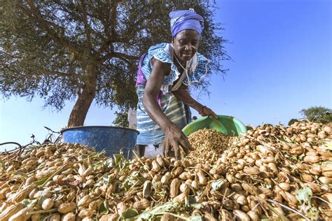 Four Smallholder Women Farmers at the Forefront of Agroecological Farming