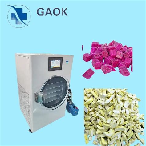 China Pharmaceutical Freeze Dryer For Biological Products Manufacturers