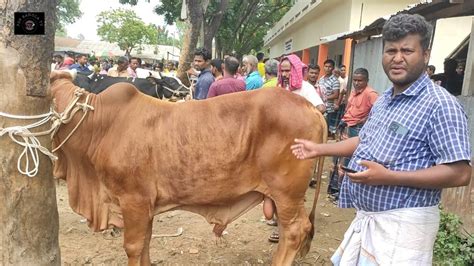 মঙ্গলবার ২ মে২৩ চট্টগ্রামের ব্যবসায়ী কত টাকা মন দরে মাংসের ওজন সহ