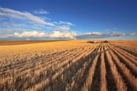 Food Sovereignty: Reclaiming Food Systems | Montana Budget & Policy Center