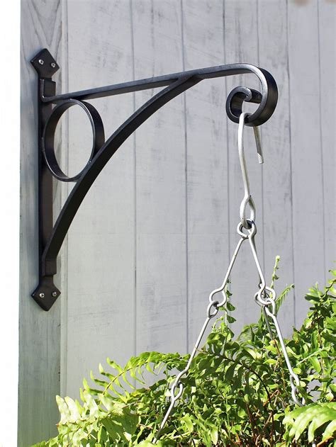 Outstanding Metal Hook Plant Holder Scaevola Trailing