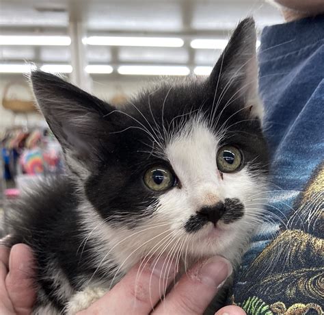 wild animal outreach 7