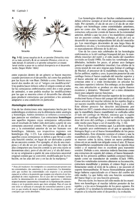 Biología del Desarrollo Gilbert 7a edición pdf