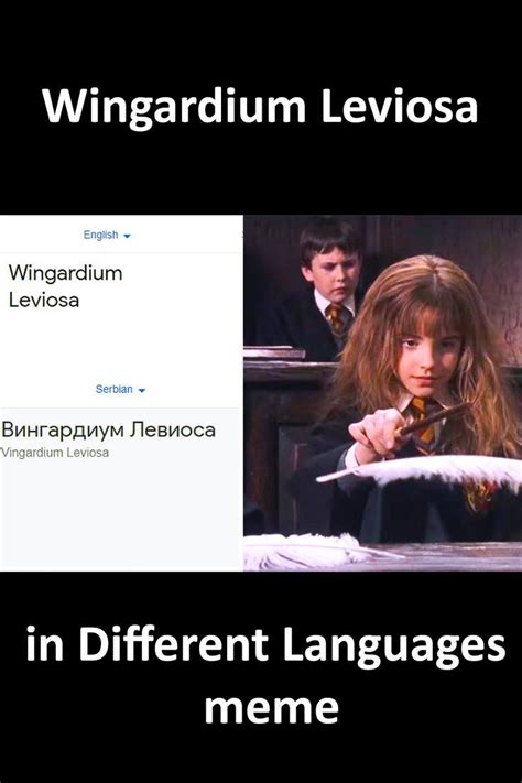 Wingardium Leviosa in Different Languages meme | Memes, Language ...