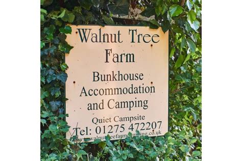 Walnut Tree Farm Camping & Bunk House in Somerset