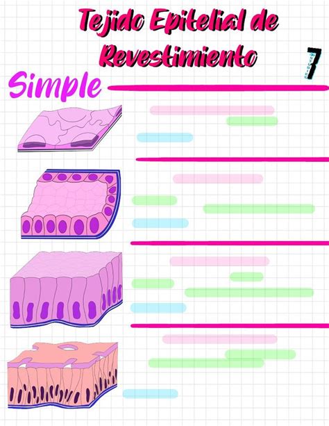 A Poster With Different Types Of Layers In Spanish English And Latin