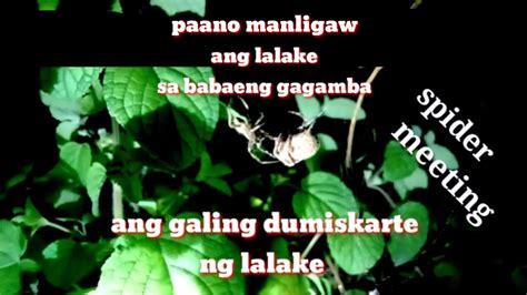 Paano Manligaw Ang Lalake Sa Babaeng Gagamba Ang Galing Dumiskarte Ng