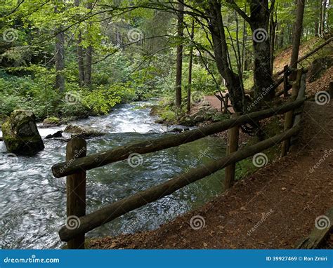 Small Beautiful Brook Stream Waterfall In A Forest Stock Image Image