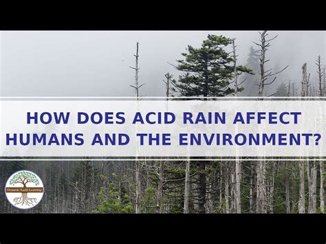 Acid Rain Before And After