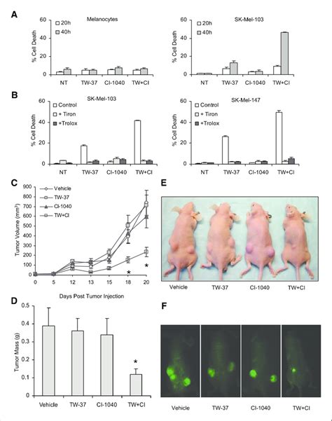 Synergy Between Tw 37 And Mek Inhibitors Is Not Restricted To U0126 And Download Scientific