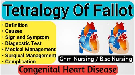 Tetralogy Of Fallot Tetralogy Of Fallot In Hindi Congenital Heart