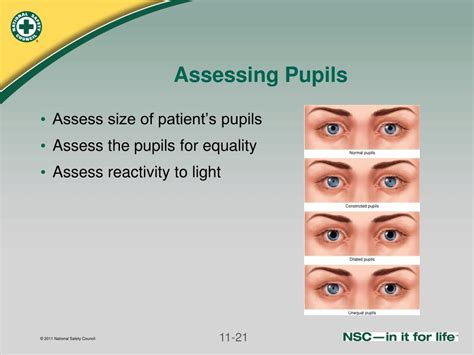 Ppt Secondary Assessment Powerpoint Presentation Free Download Id