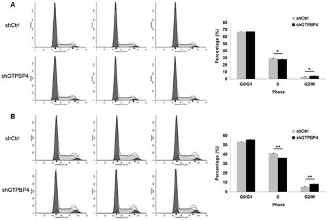 Knockdown Of Gtpbp Induced Cell Cycle Arrest In Smmc And Hepg