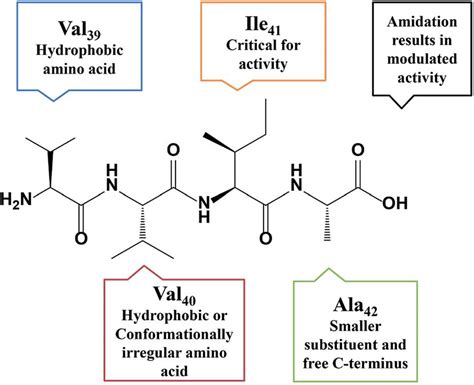 Derived structure-activity-relationship of tetrapeptides. | Download ...