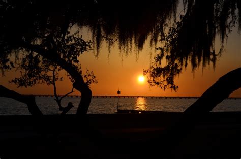 Lake Pontchartrain sunset | Lake pontchartrain, Fallen angel, Nature