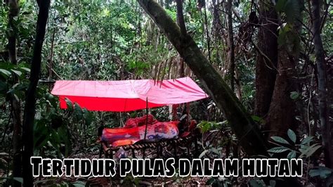 Camping Dalam Hutan Gelap Kalimantan Tidur Bersama Nyayian Malam