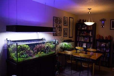 GHL Advanced Technology – High-Tech for Aquariums, Terrariums and Ponds ...