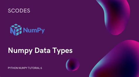 Unlock The Potential Of Numpy Data Types Python Numpy Tutorials