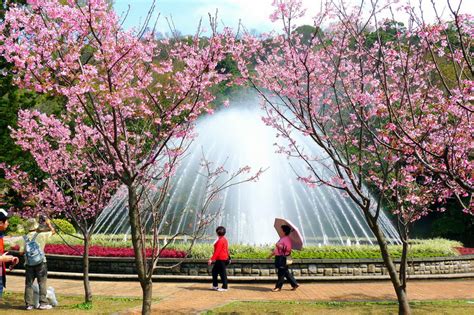 【台北陽明山一日遊】踏青、賞花好去處！一年四季都適合去～安排假期一起go！‎ 必玩台灣10000個景點