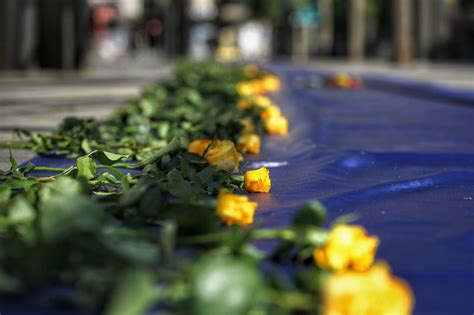 Жълти цветя в центъра на София - съпричастност към украинците