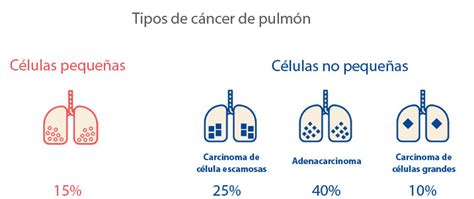 Información sobre biomarcadores AEACAP Asociación Afectados Cáncer