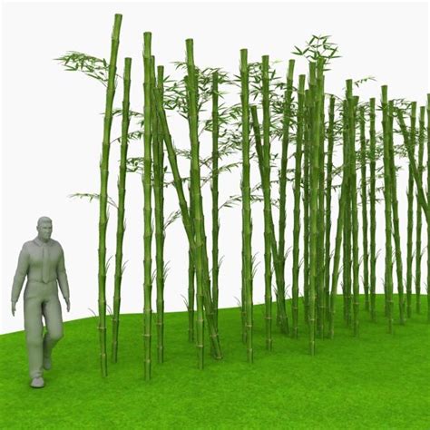 Bamboo 3d Models Download Free3d