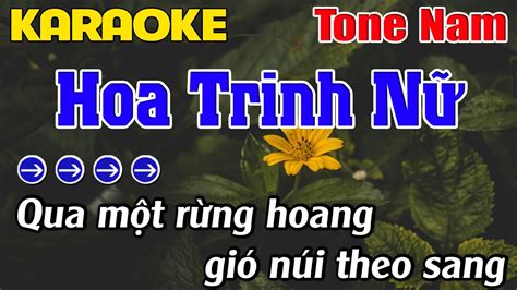 Hoa Trinh N Karaoke Tone Nam Karaoke Linh Ph M Beat M I Youtube