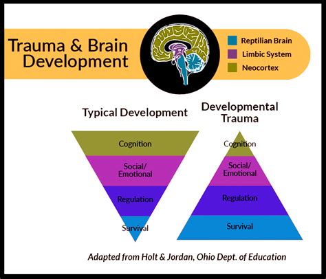 Trauma Brain Diagram