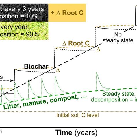 Pdf How Biochar Works And When It Doesnt A Review Of Mechanisms