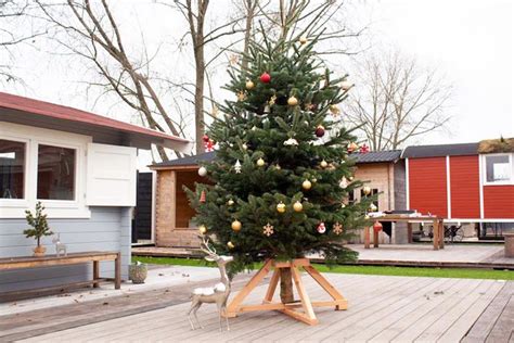 Grote Kerstboom Kopen Bekijk Alle Aanbiedingen Gadero Nl