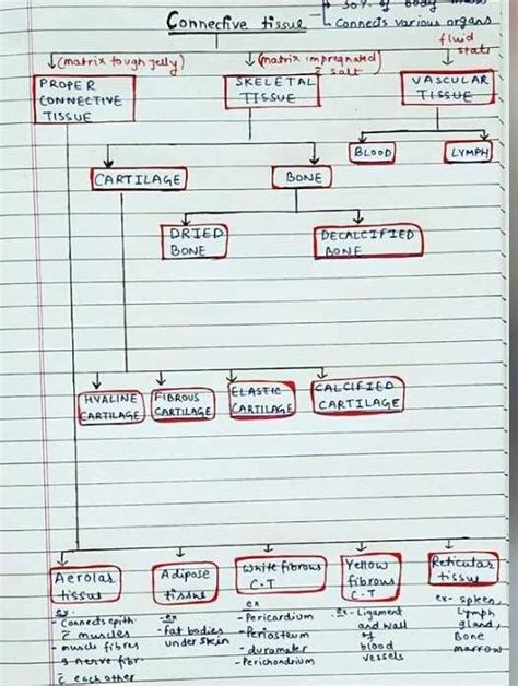 Tissue Type Flow Chart