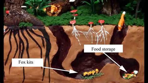 Fox Den Diorama School Project Youtube