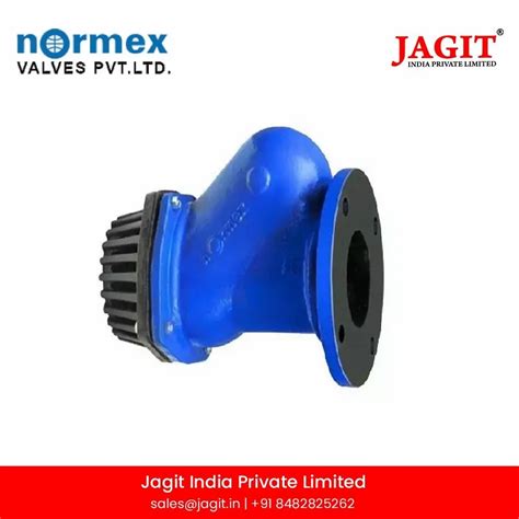 Cast Iron Foot Valve Normex At Rs 3300 Piece Normex Foot Valves In