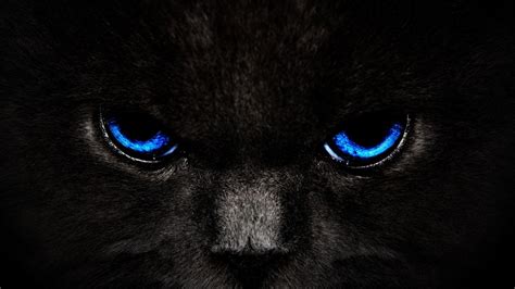 Black Cat HD Wallpapers - Wallpaper Cave