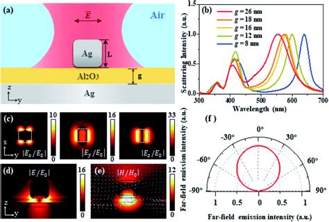 Plasmon Enhanced Lightmatter Interaction Of Rice Like Nanorods By A